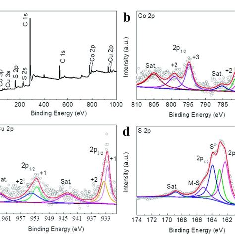 Xps Spectra Of Cuco S Cnt A Survey B Co P C Cu P And D