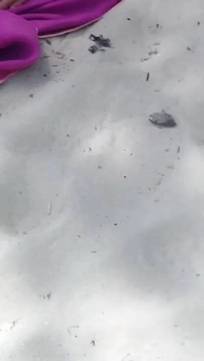 Martinique Porn Videos Free XXX Rated Sex Videos XHamster