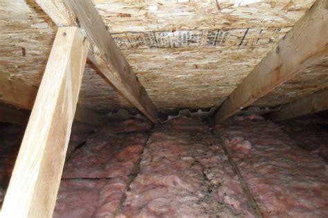 Attic Mold Removal | Mold Free Now | Free Mold Inspections | 719 388 8509