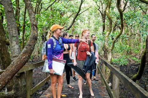 Half Day Ocean Safari Great Barrier Reef Adventure Kkday