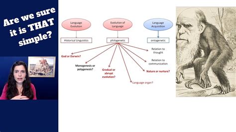 Language Complexity Part 1 Darwinian Evolution And The Origin Of