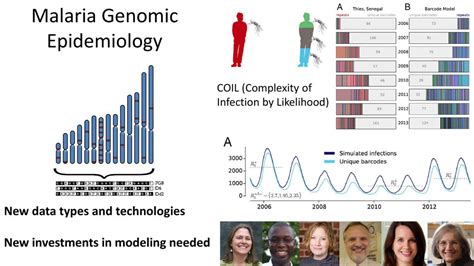 Fulfilling The Potential Of Genomic Epidemiology Of Malaria Ppt Download