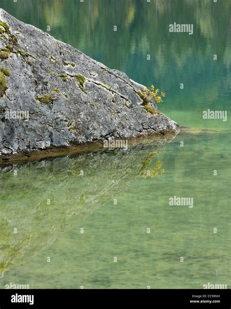 Rock In Lake Hintersee Berchtesgaden National Park Bavaria Germany