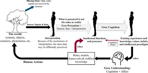 The Dynamic Processes Of Human Perception Cognition And Understanding