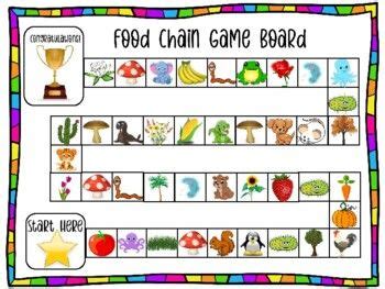 Food Chain Game Naming Organisms Producers Consumers Decomposers