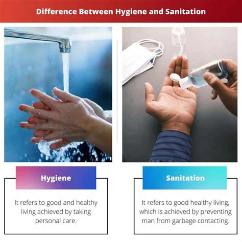 Hygiene vs Sanitation: Difference and Comparison