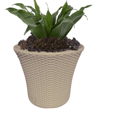 Muddstyles Plastic Helex Pot 10 Inch Flower Pots For Garden Plant