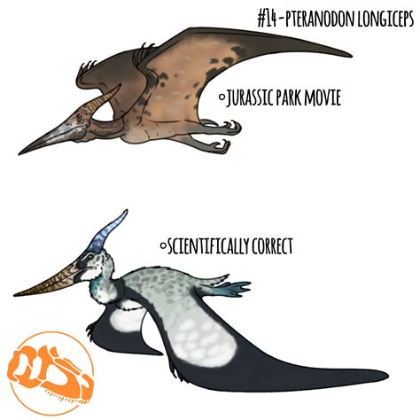 Pteranodon Size Comparison