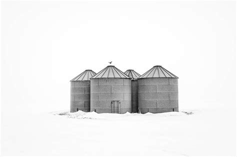 Grain Bins And Pigeon North Dakota