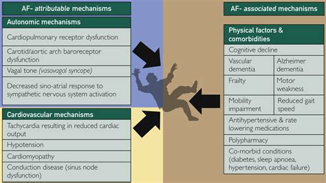 Atrial Fibrillation Is Associated With Syncope And Falls In Older Adults Mayo Clinic Proceedings