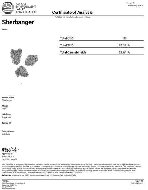 Sherbanger THCa Flower Indoor Living Soil Sherlocks Glass Dispensary