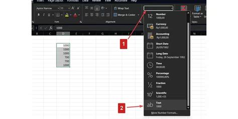 Cara Menulis Angka Di Excel Agar Tidak Berubah Maen Media