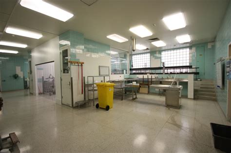 Interior Mortuary Autopsy Theatres 2013 AR 6847 EHive