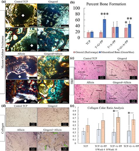 Figure 6 From Ginger And Garlic Extracts Enhance Osteogenesis In 3d