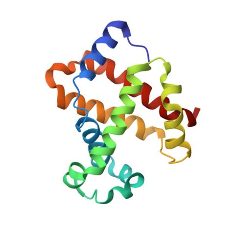 Rcsb Pdb Shr Crystal Structure Of Ferrocyanide Bound Human