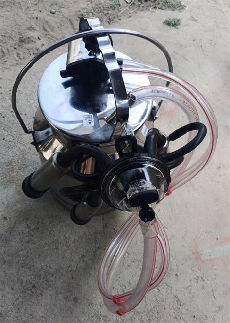 Single Bucket Milking Machines At Rs 15500 Milking Machine In