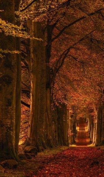 @cleverwordsandotherstuffilike on Tumblr