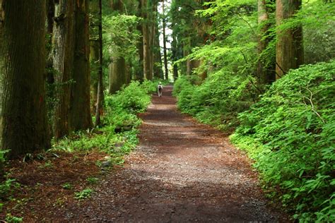 Fuji-Hakone-Izu National Park (Official GANP Park Page)