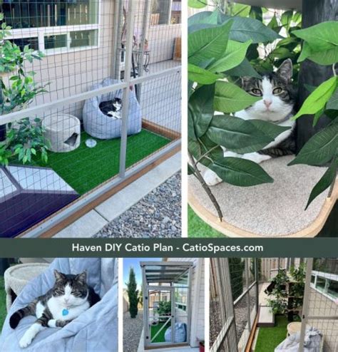 12 Diy Catio Plan Creations For Happy Cats Catio Spaces