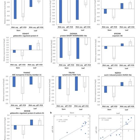 Verification Of Degs By Qrt Pcr A Transcript Levels Of Genes