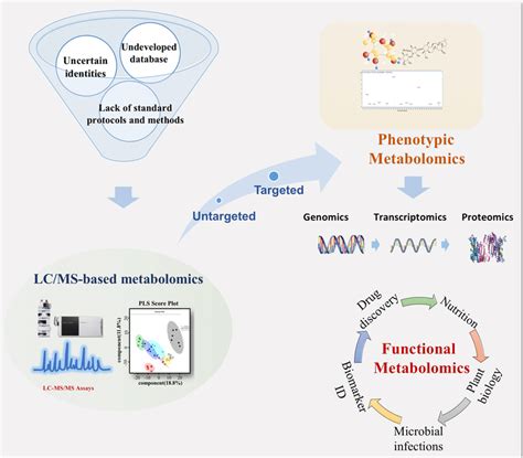 Liquid Chromatographymass Spectrometry Lcms‐based Functional Download Scientific Diagram