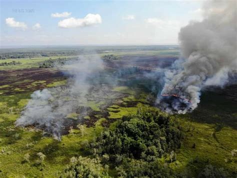 Bpbd Kukar Tangani Kebakaran Lahan Di Desa Sebemban Bujurnews