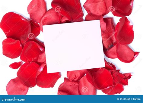 Red Rose Greeting Card. Stock Images - Image: 31414464