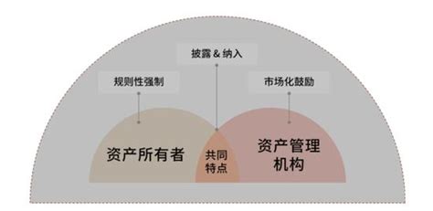 中金 长期价值与责任践行：资产所有者esg投资和管理实践手机新浪网