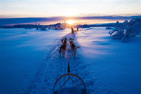 Voyage R Veillon Tout Compris Laponie Finlande Aurores Bor Ales