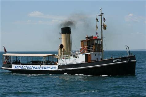 Steam Tug Wattle Alchetron The Free Social Encyclopedia