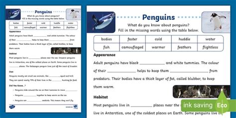 Penguins Cloze Activity Profesor Hizo Twinkl