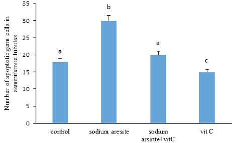 Assessment Of Apoptosis Induced By Sodium Arsenite And Vit C By Tunel