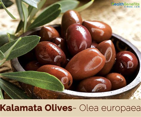 Kalamata Olives facts and health benefits