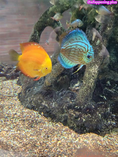 Geekikitten Geekykittenxo Nude OnlyFans Photo 1 The Fappening Plus