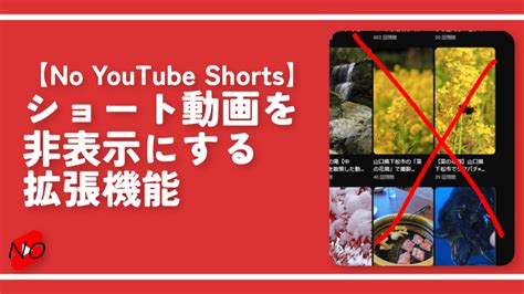 【youtube Zoom】動画内の一部を拡大・位置調整できる拡張機能 ナポリタン寿司のpc日記