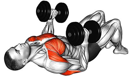 10 Exercises To Get Bigger Chest Chest Shoulder Triceps Muscles