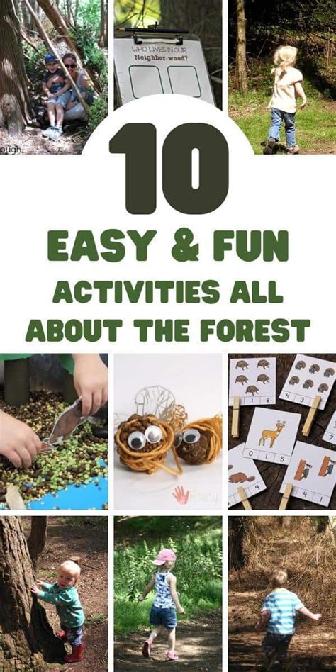 Forest Themed Activities for Toddlers and Preschoolers | Fun activities for toddlers, Forest ...