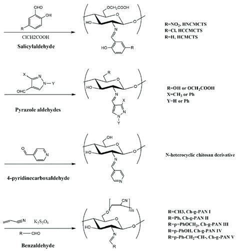 Schiff Base Derivatives Of Chitosan Modified With Active Aldehydes Or