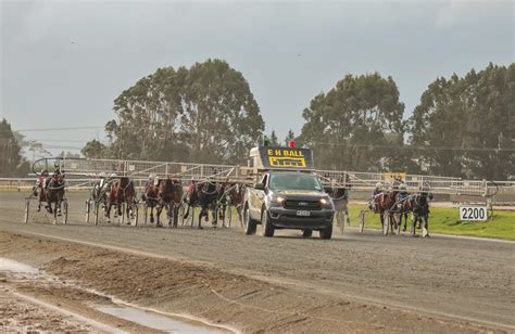 Southern Racing Dates Released - Southern Harness Racing