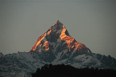 Mount Machhapuchhre Annapurna Himal View From Phewa Lake Flickr