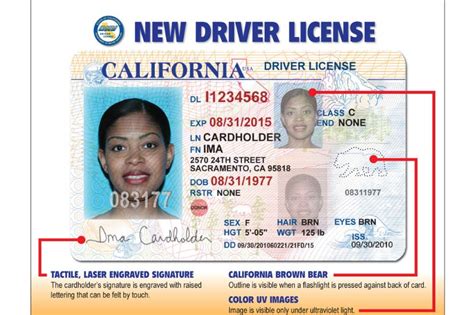 What Is The California Drivers License Issue Date • Road Sumo