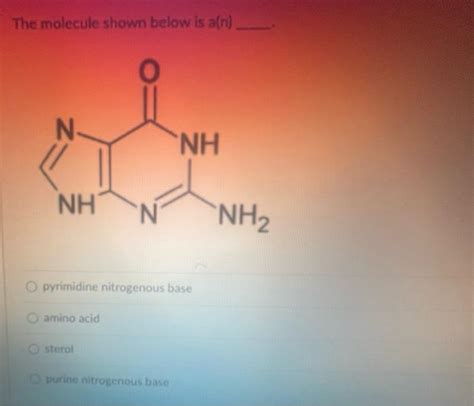 Solved The Molecule Shown Below Is A N Pyrimidine Chegg