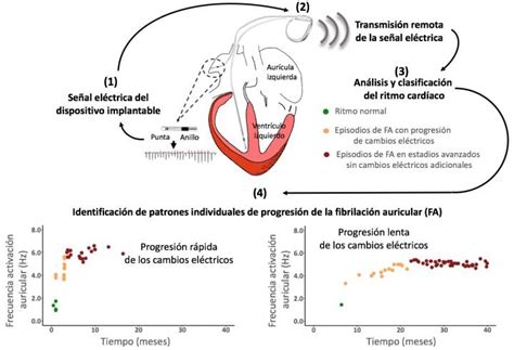 Image Image Eurekalert Science News Releases