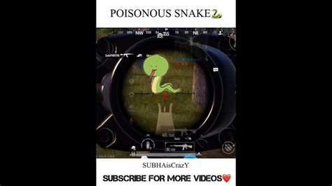 Poisonous Snake In Bgmi🐍🐍shorts Bgmi Pubg Youtubeshorts Shortvideo