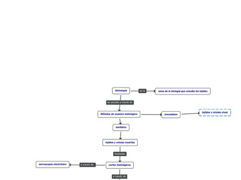 Arriba 32 Imagen Histologia Mapa Mental Abzlocal Mx