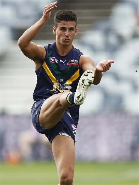 afl draft   north melbourne bidding  nick daicos  impact