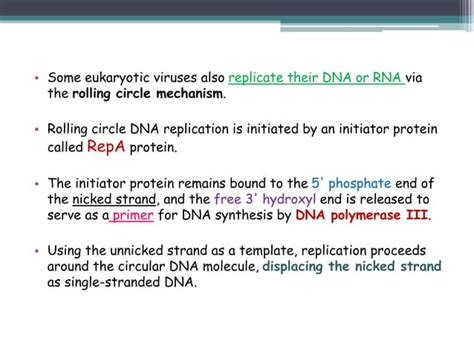 Rolling Circle Replication | PPT