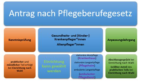 Pflegeberufe In Deutschland Und Das Pflegeberufegesetz Was Ndert