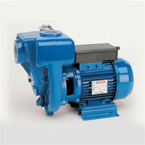 Selfpriming Monoblock Pumps Hgm