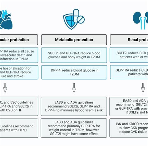 The Protective Effects Of Sodium Glucose Cotransporter 2 Inhibitors